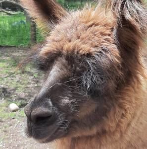 Meet your Posher, Fredrick